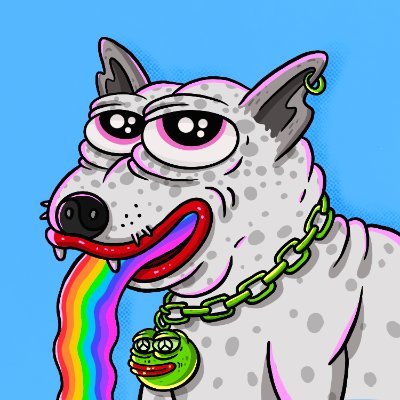 ndhaus_'s profile picture