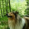 Profilbild von Roby