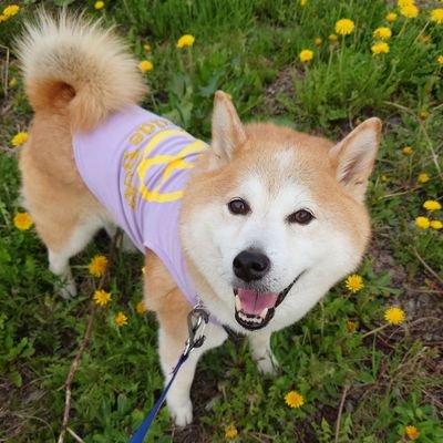 Koonie & Yuta's profile picture