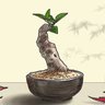 Wabi Sabi profil fotoğrafı