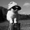 dadada 的头像