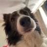 Karen Littleton's profile picture