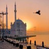 a s profil fotoğrafı