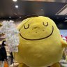 Profilbild von くまお
