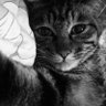 Profilbild von Gorgon
