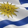 Francisco Lapace's profile picture