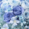 n.sucre.'s profile picture