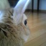 ピー's profile picture
