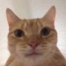Profilbild von Nihan