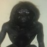El_Bumpero profil fotoğrafı