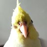 ننه فندق💛🐦🐥's profile picture