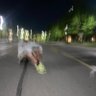 aloading 的头像