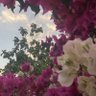 Фото профиля سعيد الزهراني