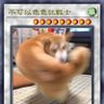Profilbild von 巡天者惠子🥰
