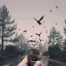 Фото профиля Yussuf