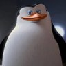 Kutay (Astro) profil fotoğrafı