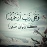ماجد العوفي's profile picture