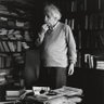 Фото профиля Mohammad Amin