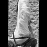 Alhanouf's profile picture