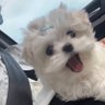 Kayakaya's profile picture