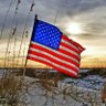 IndyGal65🇺🇸's profile picture