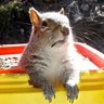 Фото профиля Orison Squirrell