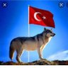 Profilbild von Sema Subay
