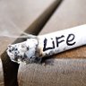 Фото профиля The Life