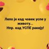 Ivana's profile picture