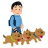 犬の散歩's profile picture