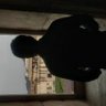 DDA Regnar's profile picture