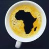 MziBoy 🇿🇦 的头像