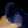 Gato danado profil fotoğrafı