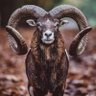 EJ profil fotoğrafı