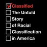 David Bernstein's profile picture