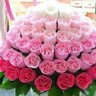 Фото профиля ابوالطيب