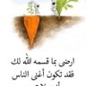 Profilbild von Ahmed Alzahrani