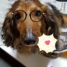 Profilbild von mamarannti