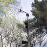 CedarGroveWeatherHub 的头像