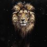 Mufasa🦁's profile picture