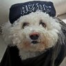 Gimar🇫🇷 profil fotoğrafı
