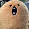 ぽっちょちゃん's profile picture