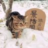 Profilbild von 李文森