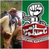Profilbild von Taimur Hafeez