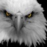 ElBOB🦅 profil fotoğrafı
