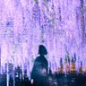 Profilbild von よたか