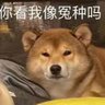 LETHERCOOK 的头像