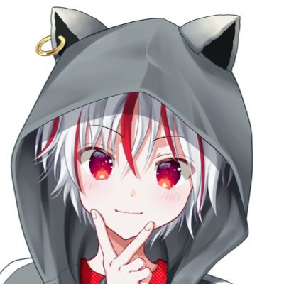 もこず / Mokozu 🦝's profile picture