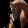 Фото профиля Tammie Conatser