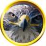 SaqrbinAbdullh profil fotoğrafı